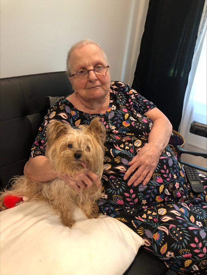 Snapshot of hospice patient and her little dog sitting in a comfortable chair funded by HHF supporters.