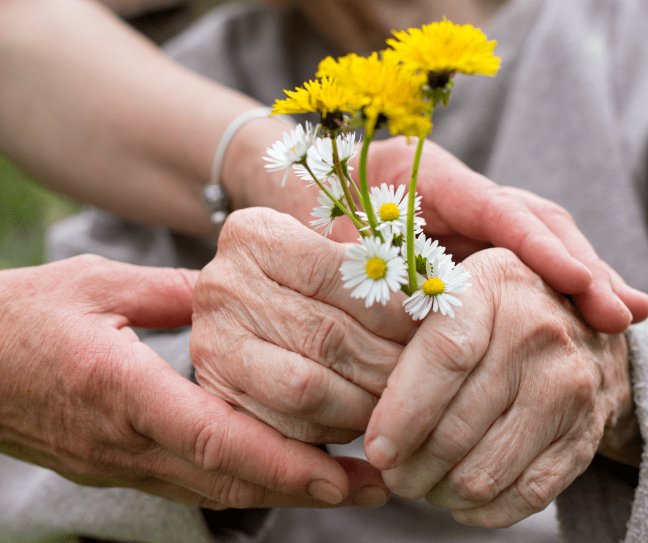 hands supporting hands of someone older and more frail, which are in turn holding a small bouquet of daisies and dandelions.